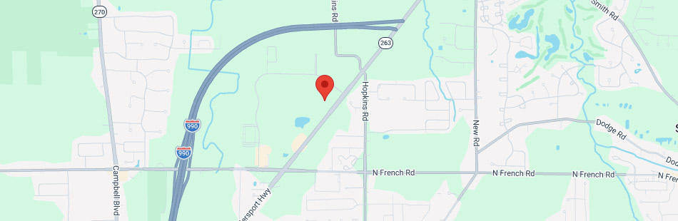 Map showing a pin dropped on Hopkins Rd, near the intersection with Transit Rd and close to I-290 in a suburban area with roads, green spaces, and some buildings visible.