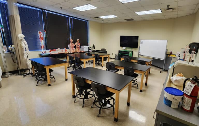 A biology classroom with lab tables and chairs, anatomical models, a skeleton, and a whiteboard.