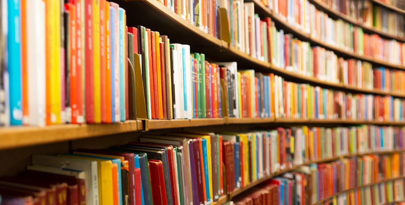 10 Must Read Books for the Year