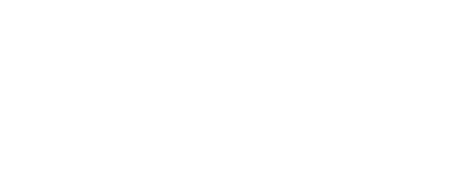 WellConnect logo